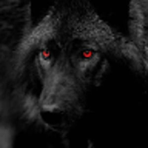 Meet your Posher, Rick